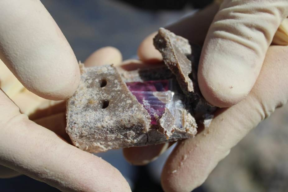 Разбрасывание приманок с вакциной против бешенства с использованием авиации